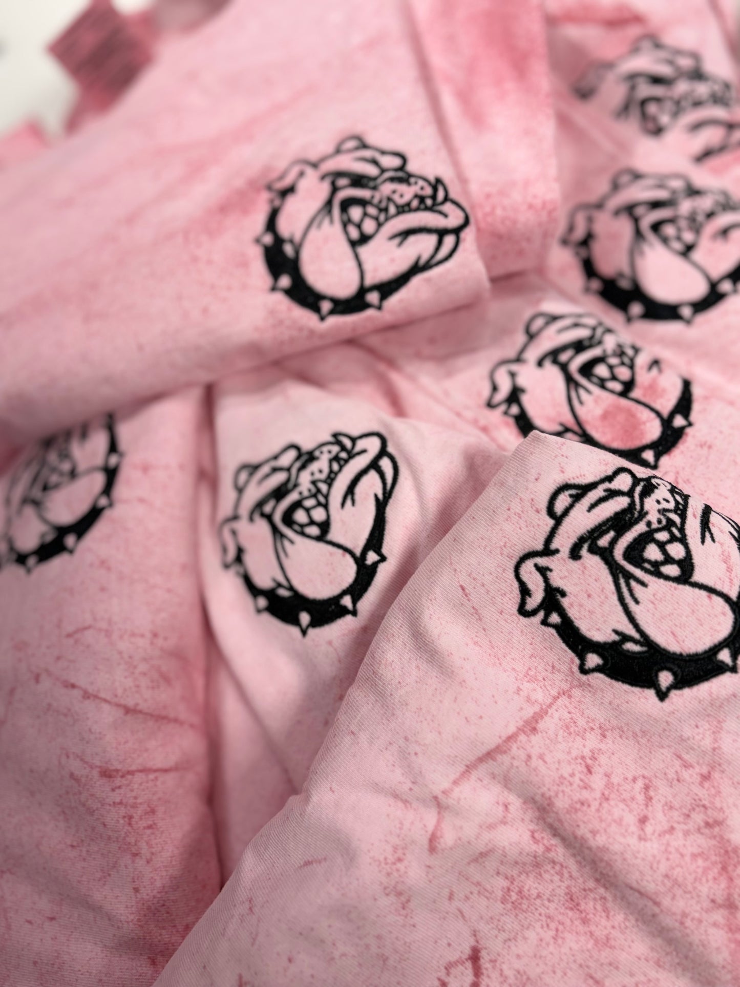 Color-blast Embroidered Mascot Tee