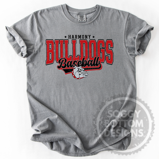 The Hometown Varsity Tee