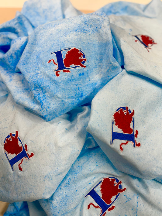 Color-blast Embroidered Mascot Tee