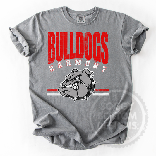 Classic Varsity Tee