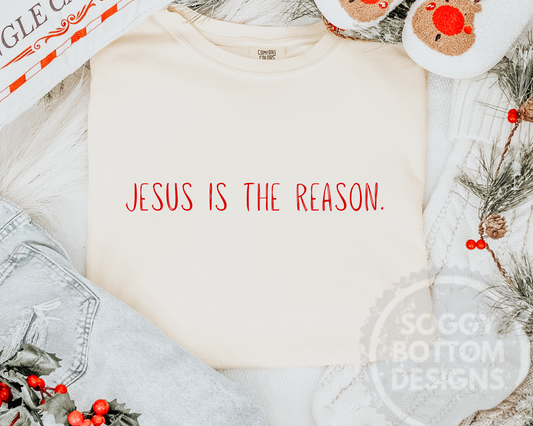 Jesus is the Reason
